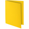 Paquet de 10 chemises 210G Exacompta Rocks