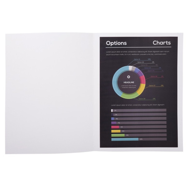 Paquet de 10 chemises 210G Exacompta Rocks