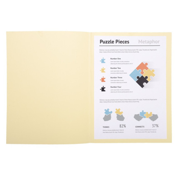 Paquet de 100 chemises pastel 210G Exacompta Super
