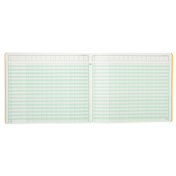 Piqûre à Colonnes 32x27cm foliotée Exacompta Tête Paresseuse
