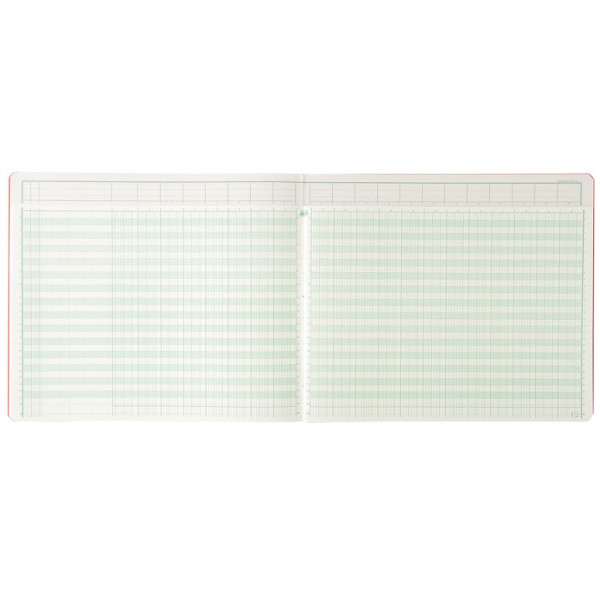 Piqûre à Colonnes 32x27cm foliotée Exacompta Tête Paresseuse