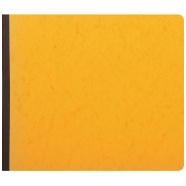 Piqûre journal tête paresseuse de caisse ou banque 32x27cm Exacompta