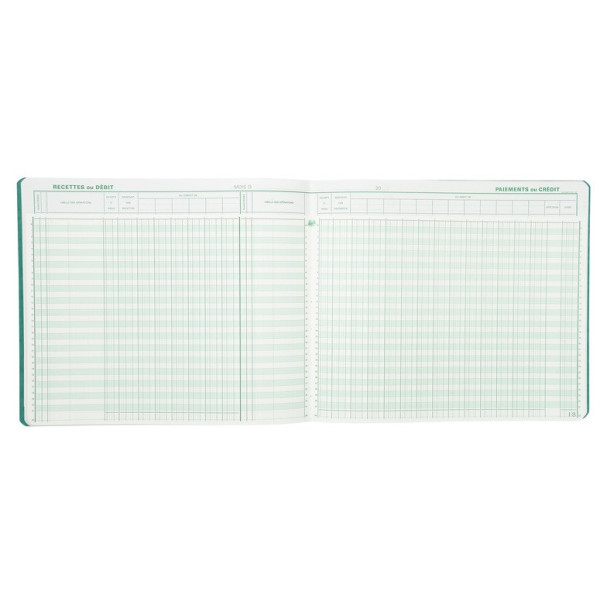 Piqûre journal tête paresseuse de caisse ou banque 32x27cm Exacompta