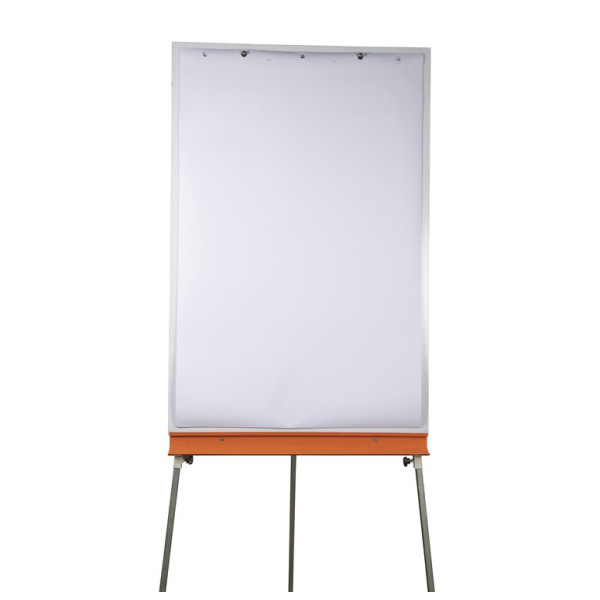 Papier pour tableau de conférence 65x100cm Exacompta