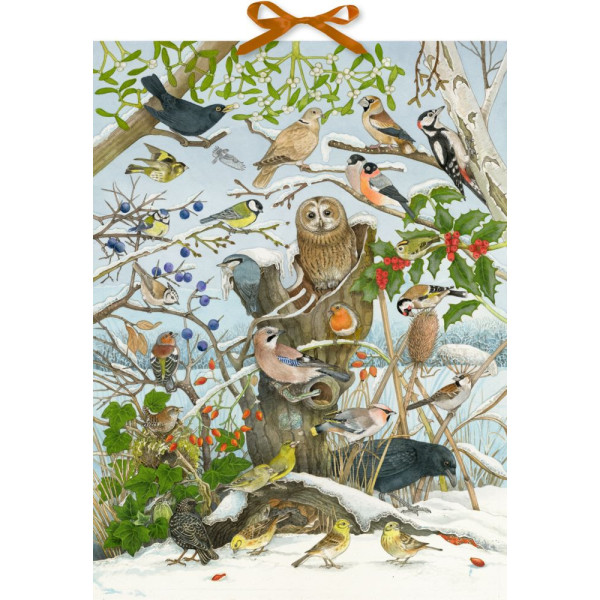 Calendrier de l'Avent musical Coppenrath Les oiseaux en hiver