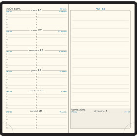Agenda semainier 9x17,5cm Exacompta Espace 17 Winner