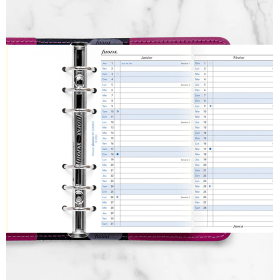 Recharge organiseur planning annuel vertical Filofax Personal