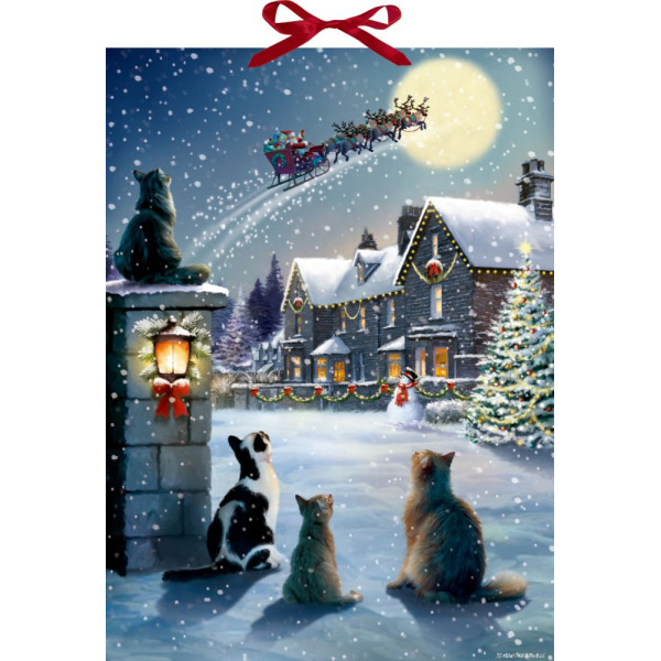 Calendrier de l'Avent Coppenrath Chat Noël