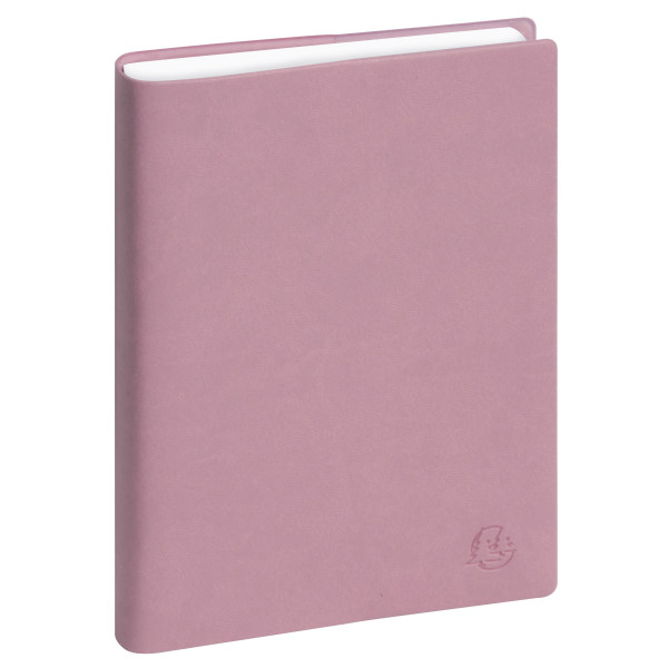 Agenda Journalier 12x17cm Exacompta Easyday 17 Ondine