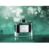 Flacon d'encre Pilot Iroshizuku syo-ro