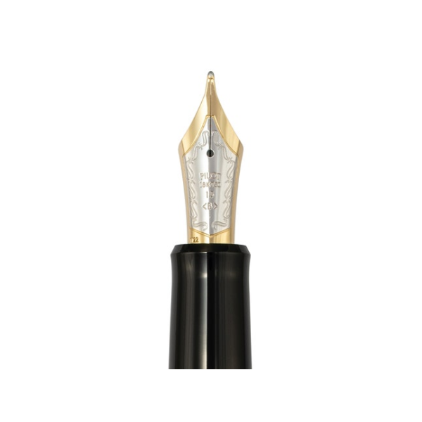 Stylo plume Pilot Custom Enju