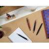 Stylo Bille Pilot Raiz Noir Mat
