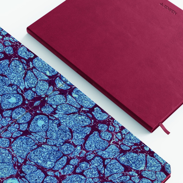 Agenda semainier 17x22cm de Kempen Amarone