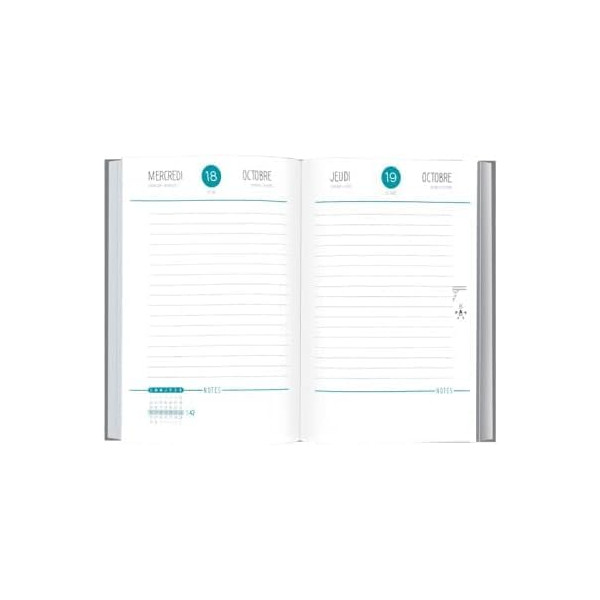 Agenda journalier 13x18cm Oberthur Chaton Bulles
