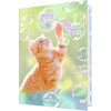 Agenda journalier 13x18cm Oberthur Chaton Bulles