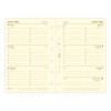 Recharge organiseur semainier Filofax Pocket Cotton Cream