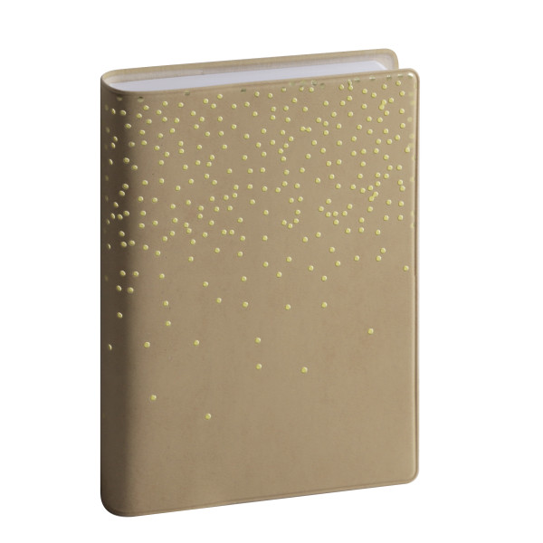 Agenda journalier 8,5x13cm Exacompta Journal 13 Amélie