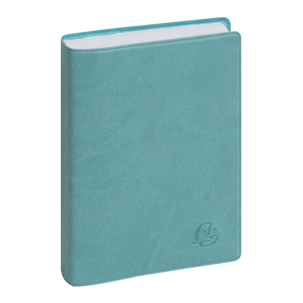 Agenda journalier 8,5x13cm Exacompta Journal 13 Ondine
