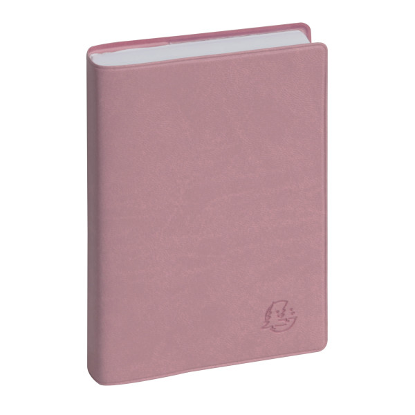 Agenda journalier 8,5x13cm Exacompta Journal 13 Ondine