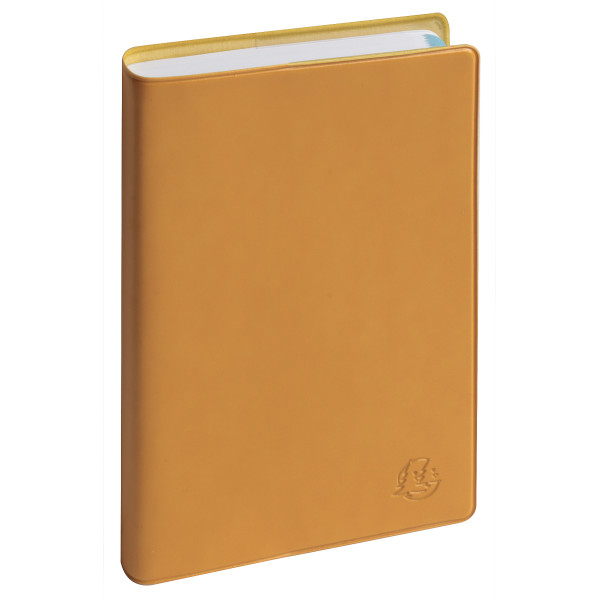 Agenda Journalier 10x15cm Exacompta Easyday 15 Volga