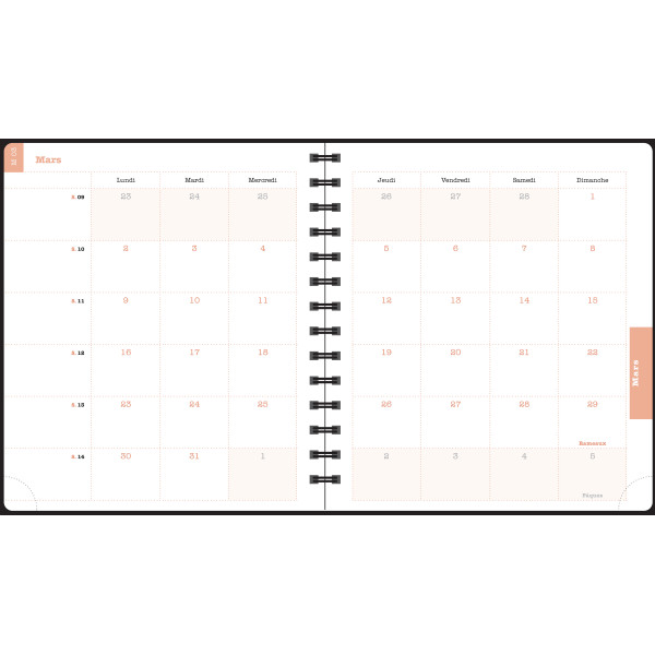 Agenda semainier 15x17cm spiralé Exacompta Lady 18S Alysse