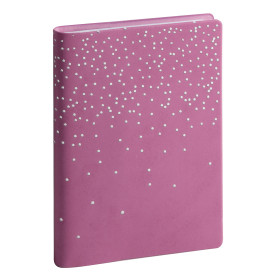 Agenda journalier 8,5x13cm Exacompta Journal 13 Amélie