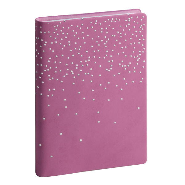 Agenda journalier 8,5x13cm Exacompta Journal 13 Amélie
