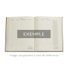 Agenda semainier 17,5x23cm Paperblanks La Magie de Wicked Ultra 12 Mois Vertical