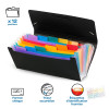 Trieur accordéon 12 positions format chèque Viquel Rainbow Class