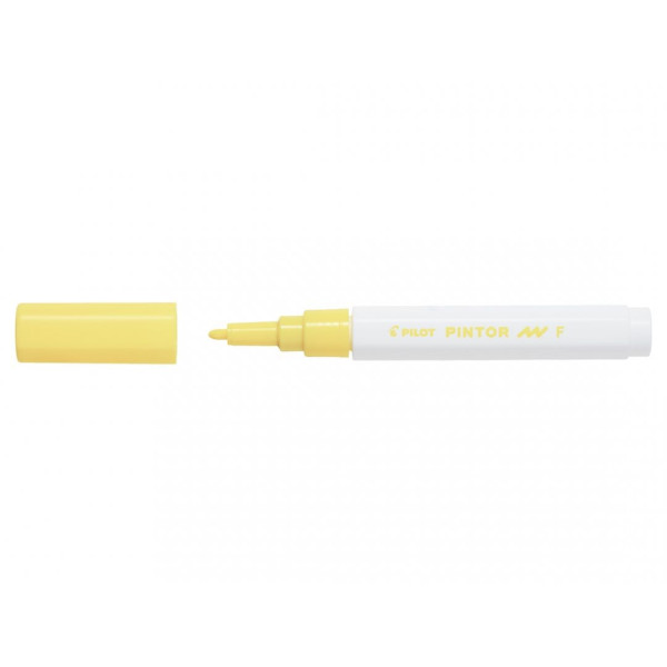 Marqueur multi-supports pointe fine Pilot Pintor
