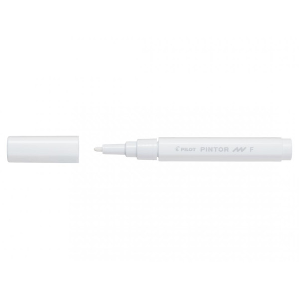 Marqueur multi-supports pointe fine Pilot Pintor