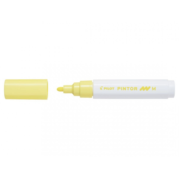 Marqueur multi-supports pointe moyenne Pilot Pintor