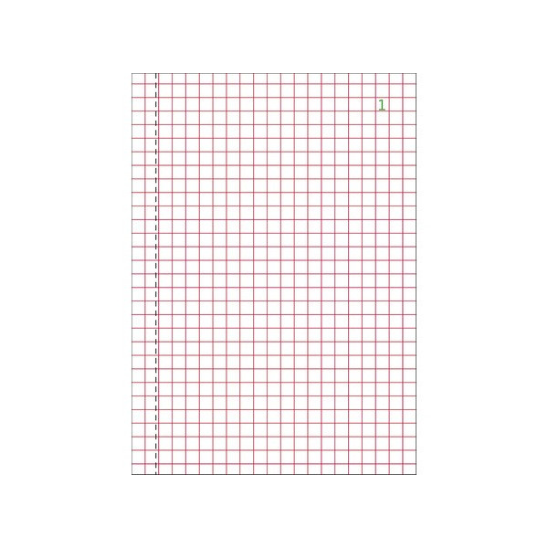 Manifold quadrillé 5x5 14,8x10,5cm 50 feuillets dupli Exacompta
