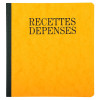 Piqûre recettes-dépenses 21x19cm Exacompta