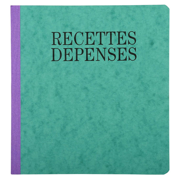 Piqûre recettes-dépenses 21x19cm Exacompta