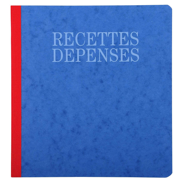 Piqûre recettes-dépenses 21x19cm Exacompta