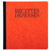 Piqûre recettes-dépenses 21x19cm Exacompta