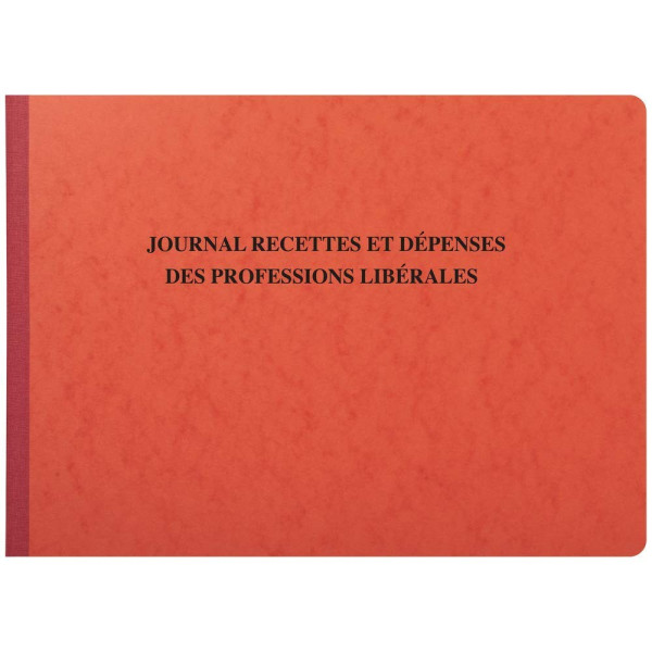 Piqûre Journal des Recettes Dépenses des Professions libérales Exacompta