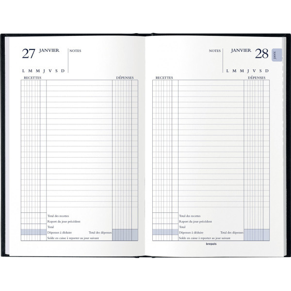 Agenda journalier 13x20,8cm Brepols Perpetuel de Caisse Lima